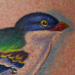 Tattoos - Tokororo - 60852